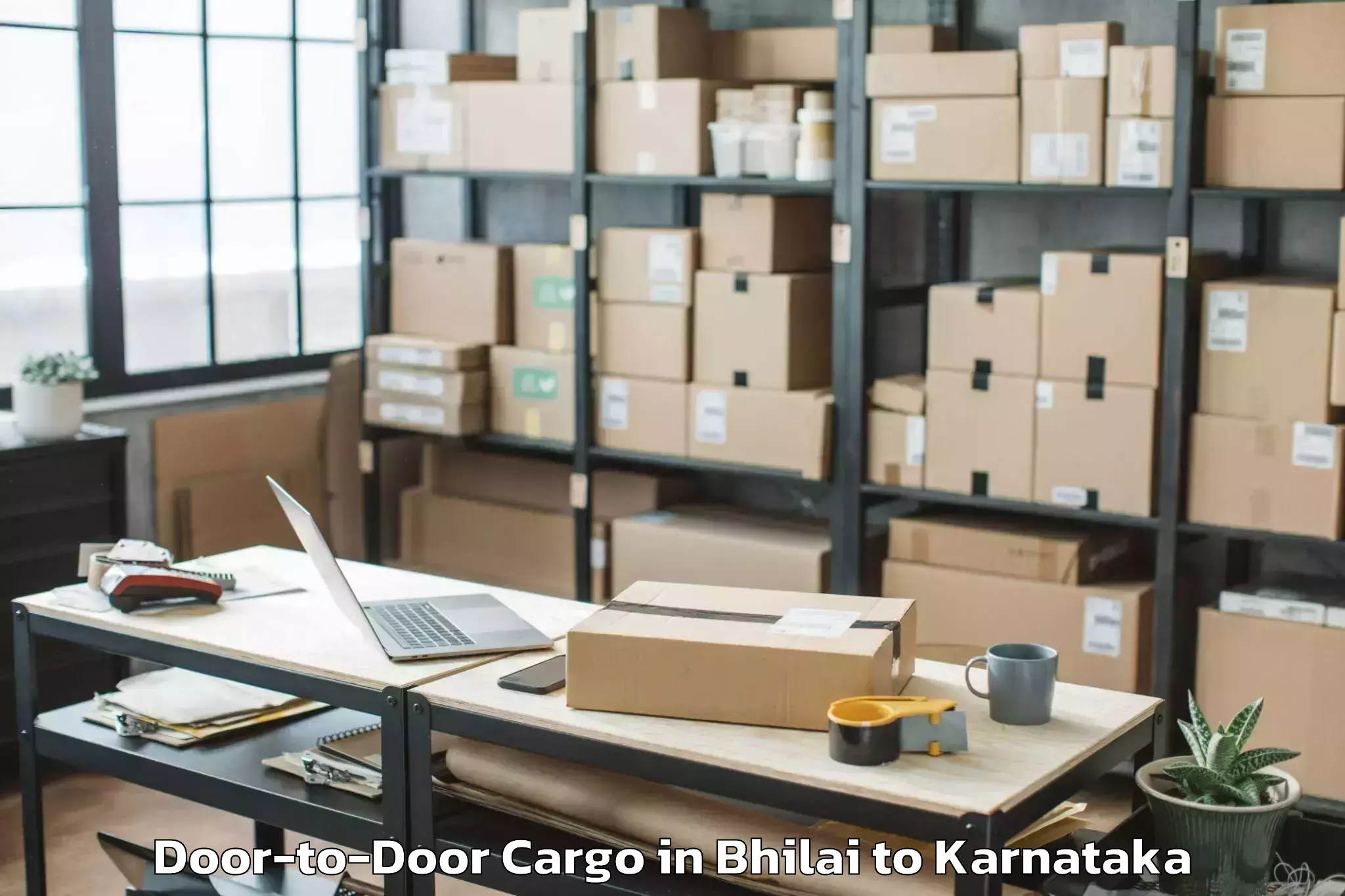 Expert Bhilai to Lingasugur Door To Door Cargo